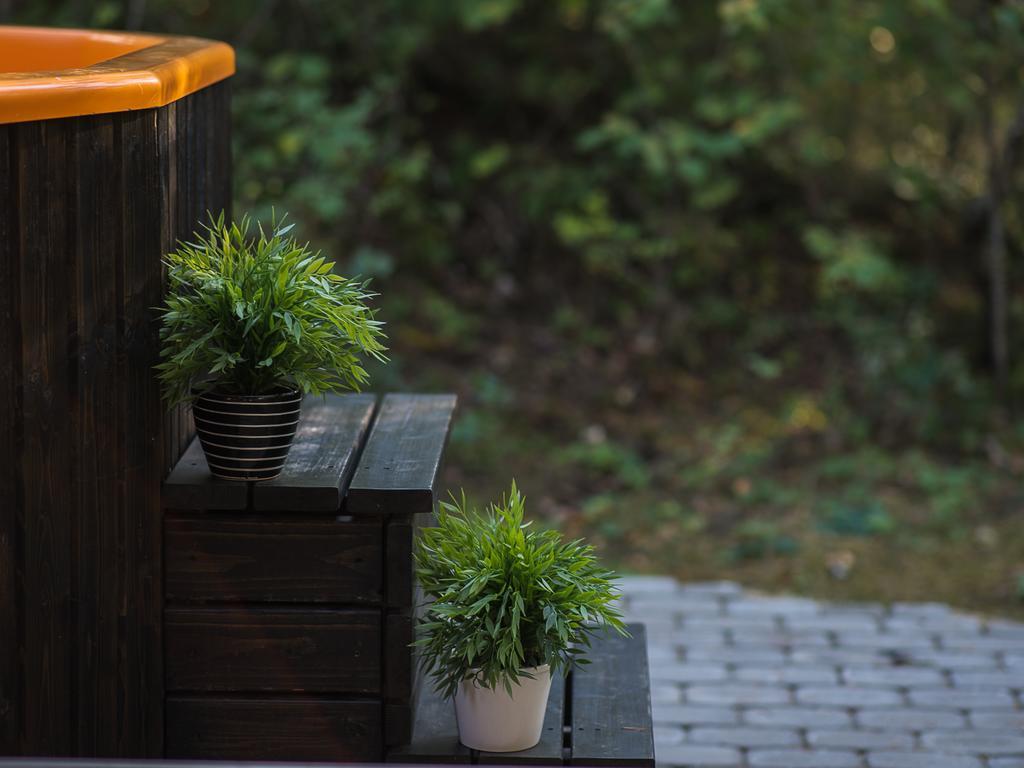 Forest Holiday home Haapsalu